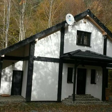 Cabana Crenguta Sibiu Exterior foto