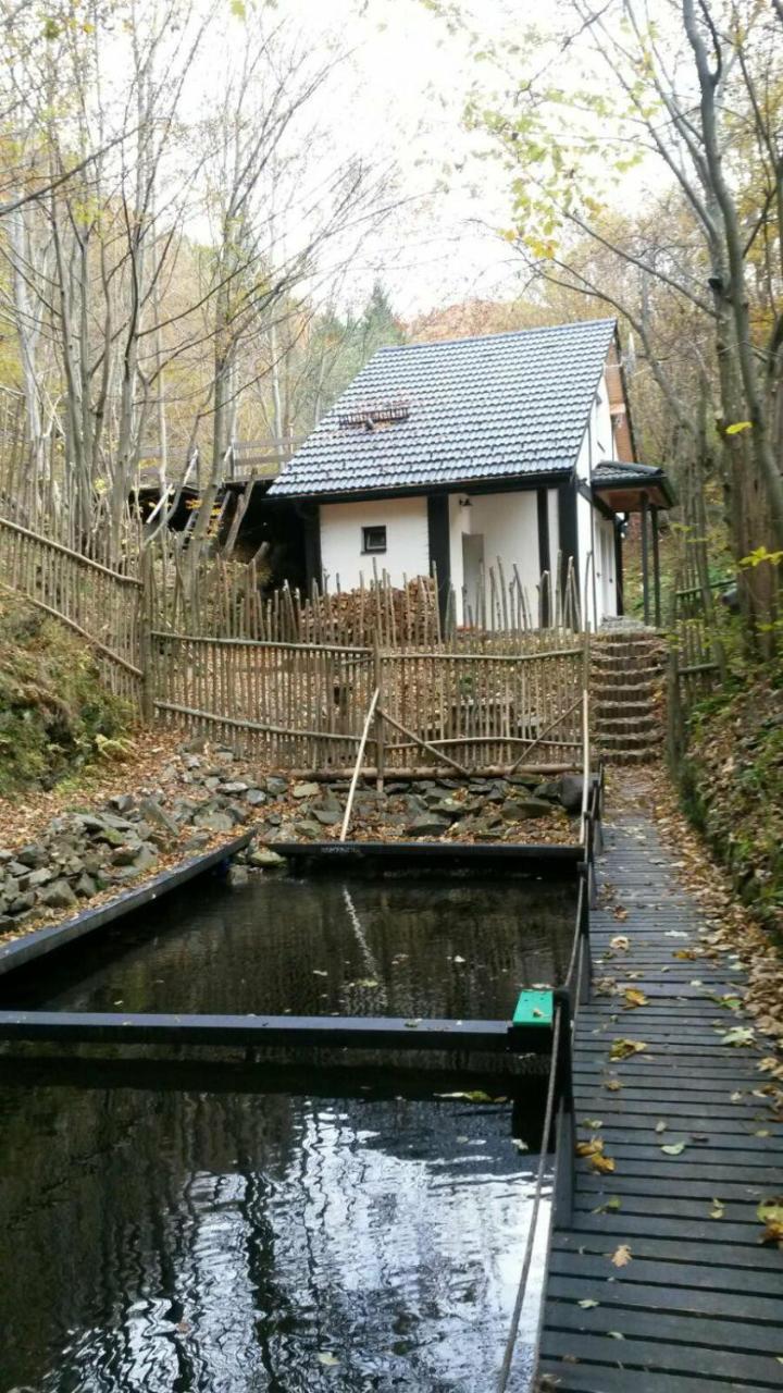 Cabana Crenguta Sibiu Exterior foto