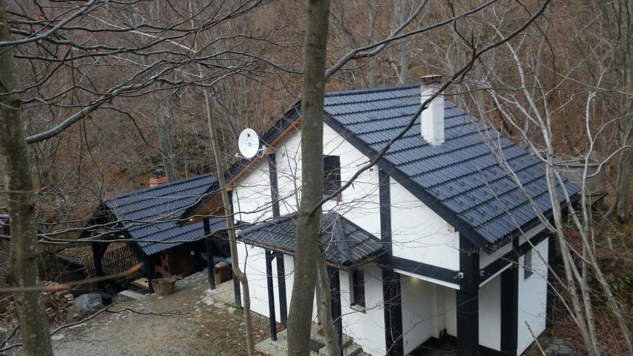 Cabana Crenguta Sibiu Exterior foto